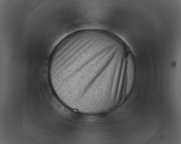 X0000093261460200710171437