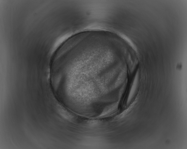 X0000093261461200710171437