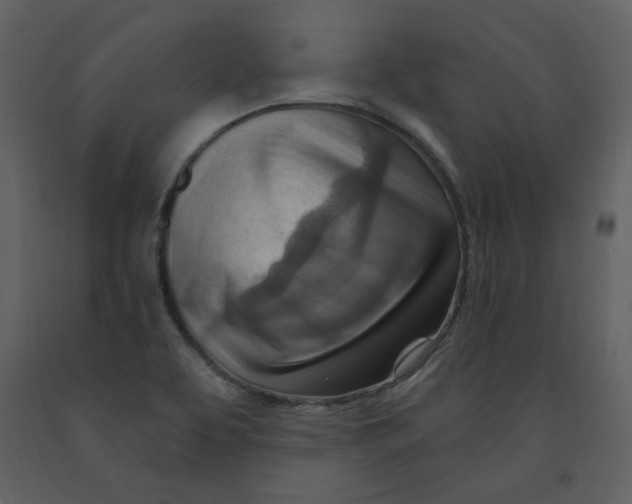 X0000093261463200710171437