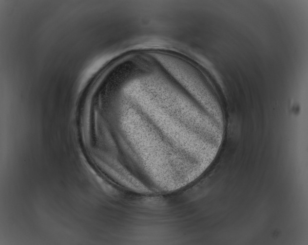 X0000093261464200710171437