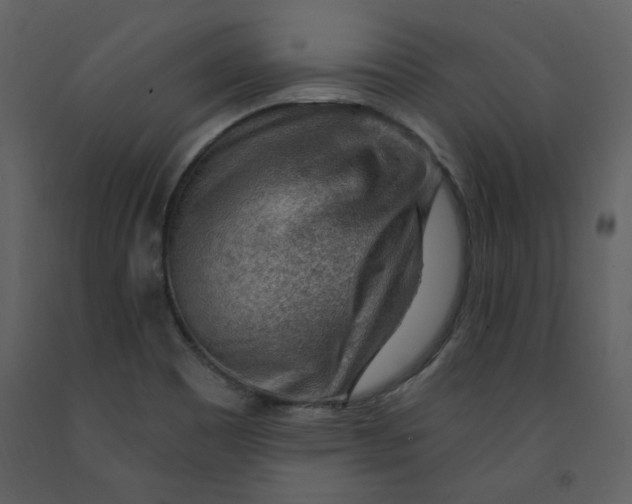 X0000093261465200710171437