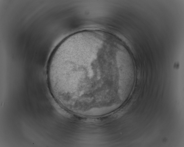 X0000093261466200710171437