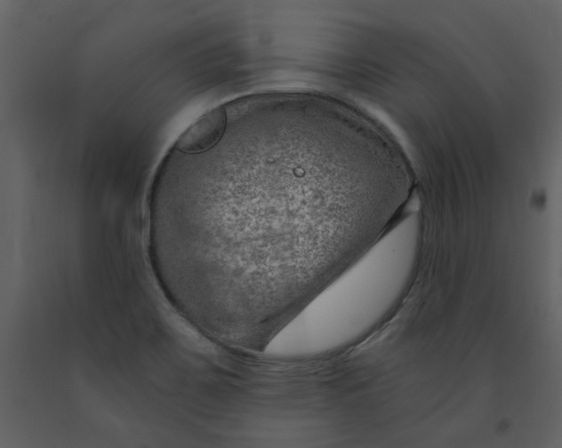 X0000093261467200710171437