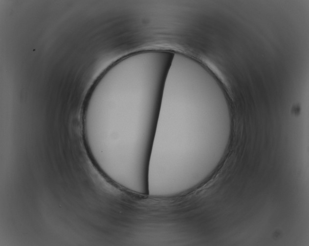 X0000093261468200710171437