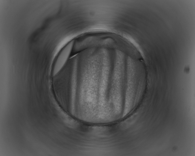 X0000093261469200710171437