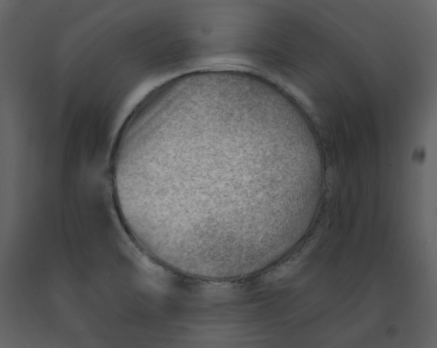 X0000093261470200710171437