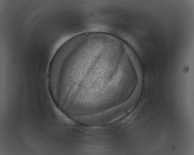 X0000093261471200710171437