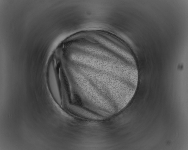 X0000093261472200710171437