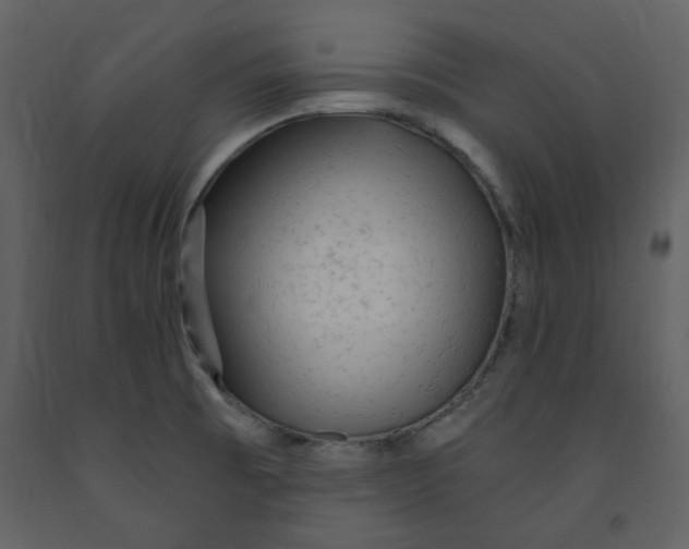 X0000093261473200710171437