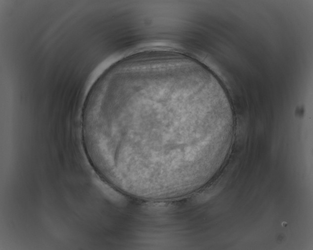 X0000093261474200710171437