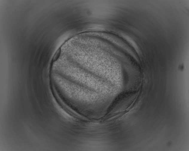 X0000093261475200710171437