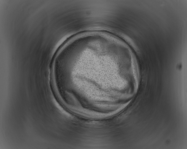 X0000093261476200710171437