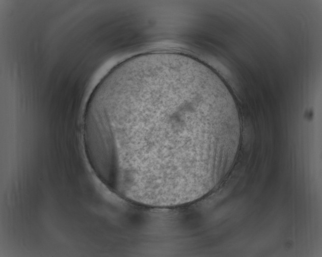 X0000093261478200710171437