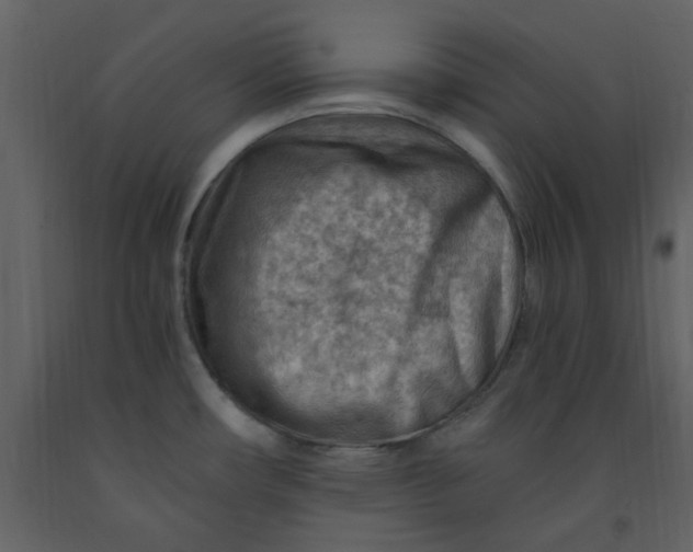 X0000093261482200710171437