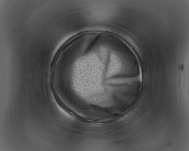 X0000093261484200710171437