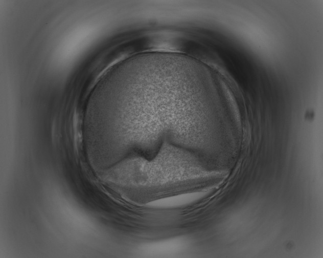 X0000093261487200710171437