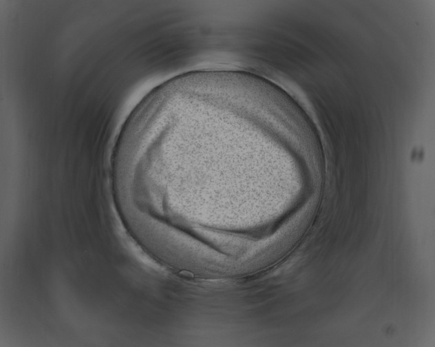 X0000093261488200710171437