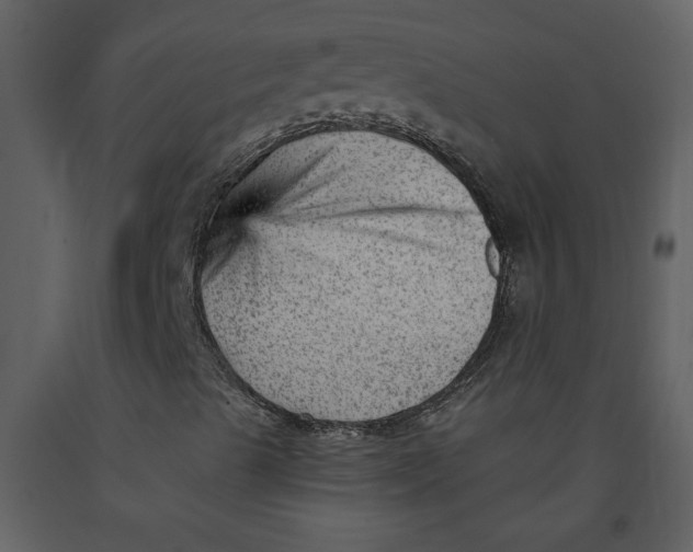 X0000093261489200710171436