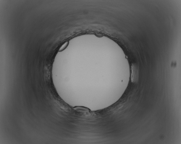 X0000093261491200710171436