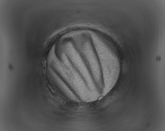 X0000093261494200710171436