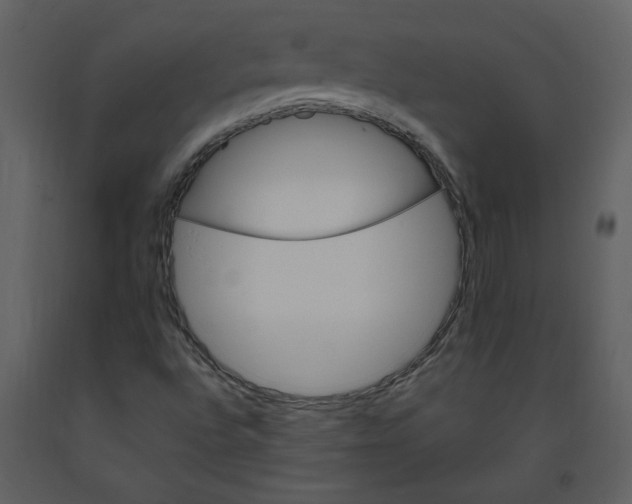 X0000093261496200710171436