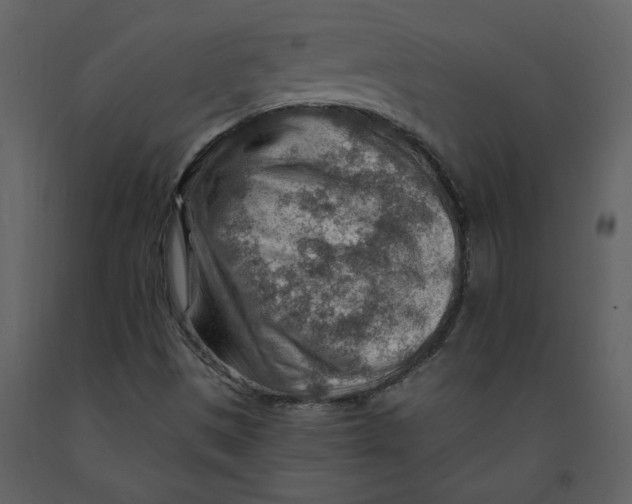 X0000093261497200710171436