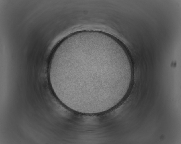 X0000093261498200710171436