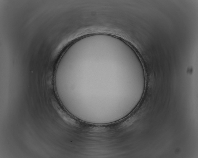 X0000093261499200710171436