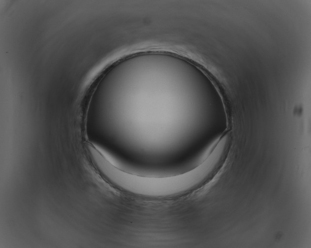 X0000093261502200710171437