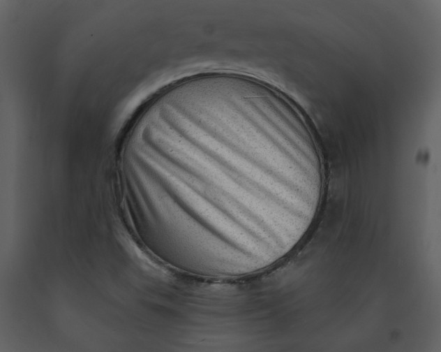 X0000093261503200710171437