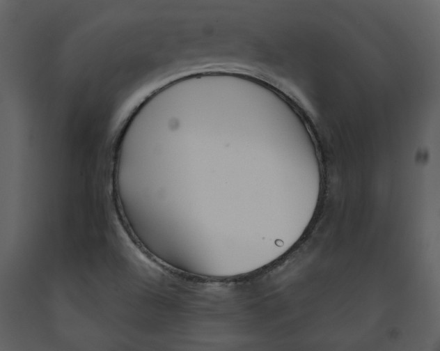 X0000093261504200710171437