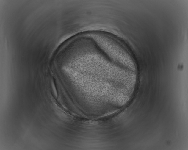 X0000093261505200710171437