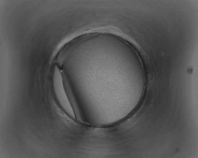 X0000093261506200710171437