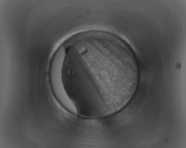 X0000093261508200710171437