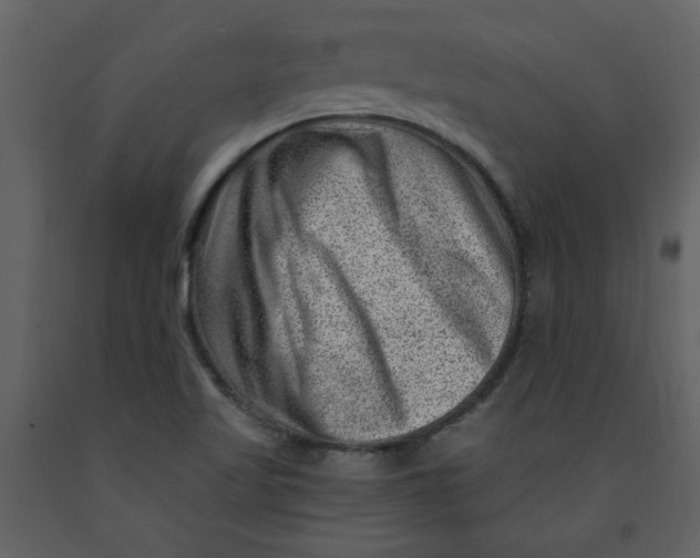 X0000093261509200710171437