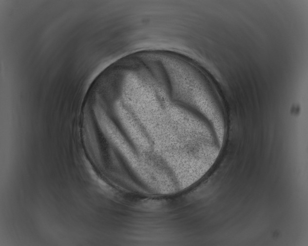 X0000093261513200710171437