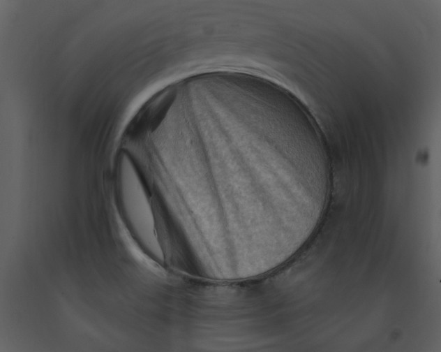 X0000093261515200710171437