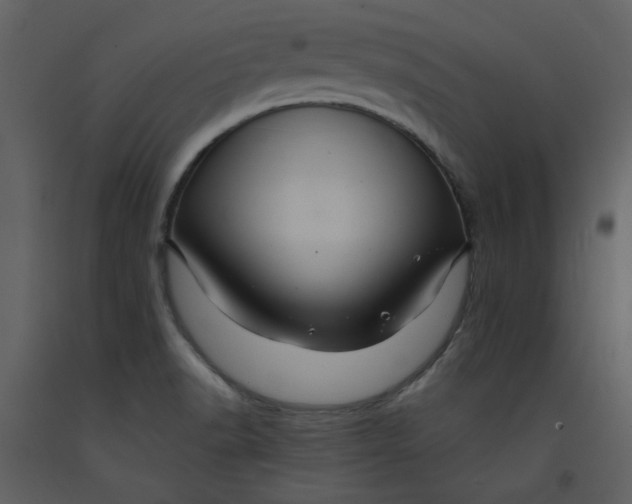 X0000093261518200710171437