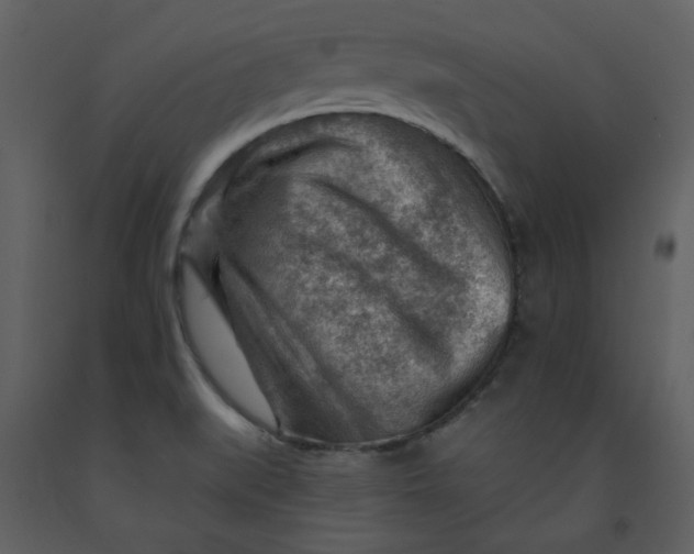 X0000093261519200710171437