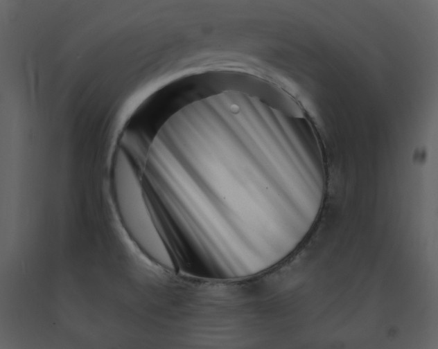 X0000093261520200710171437