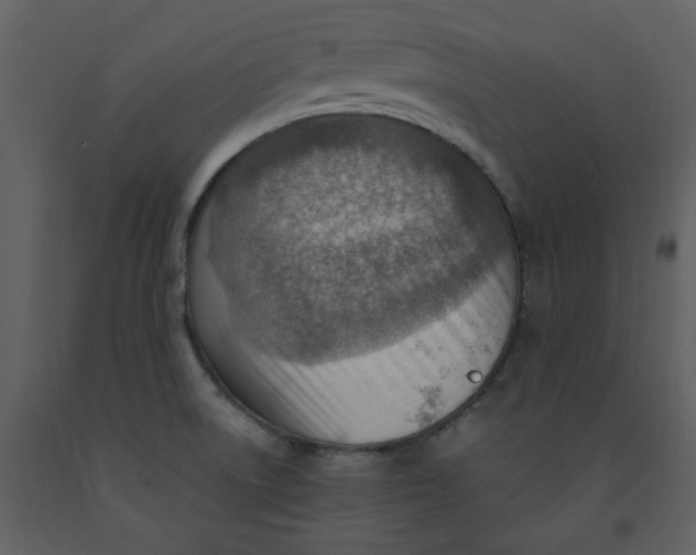 X0000093261522200710171437