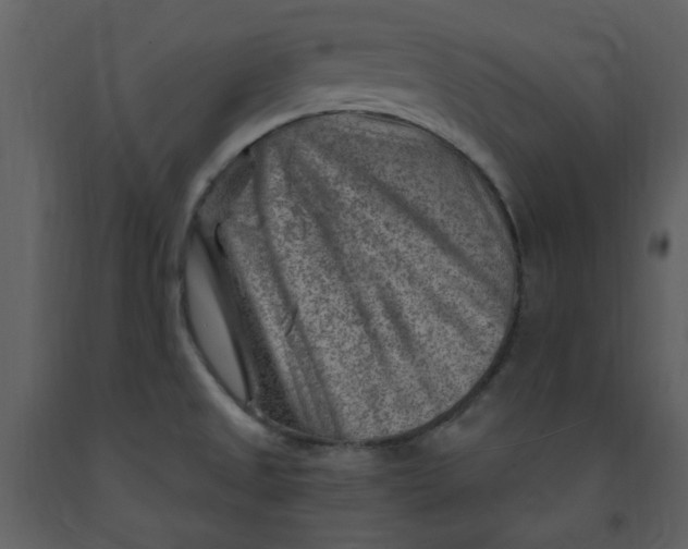 X0000093261525200710171437