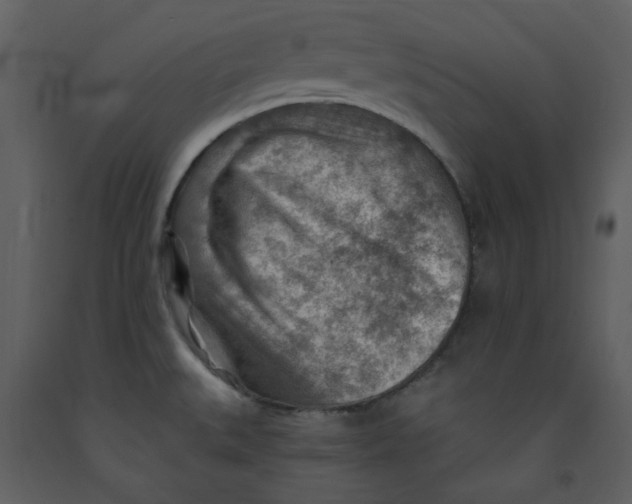 X0000093261527200710171437