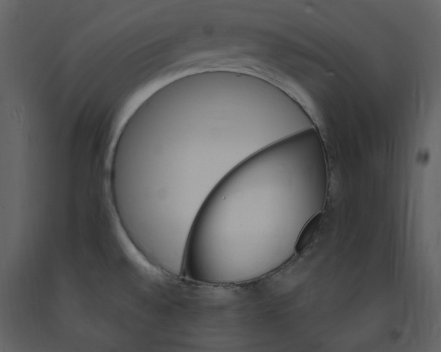 X0000093261528200710171437