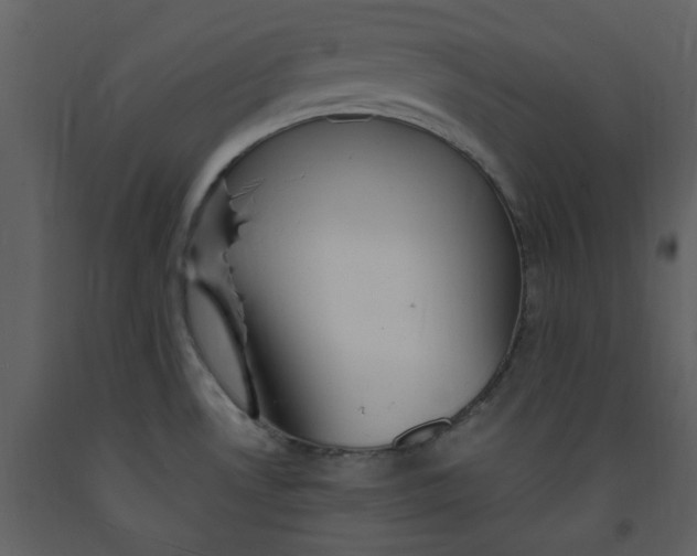 X0000093261530200710171437