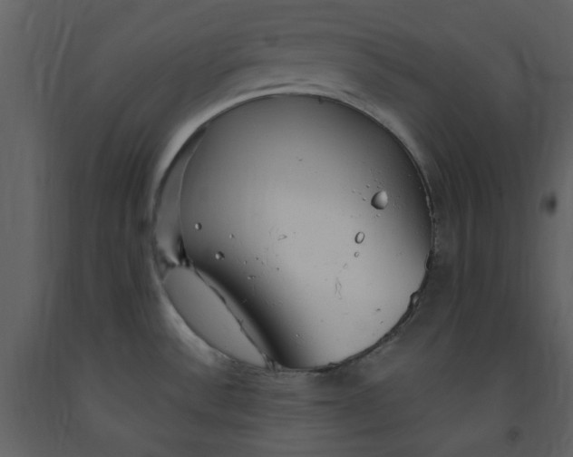 X0000093261532200710171437