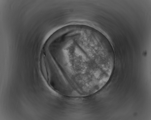 X0000093261533200710171437