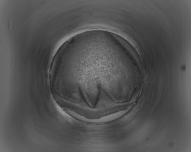 X0000093261535200710171437