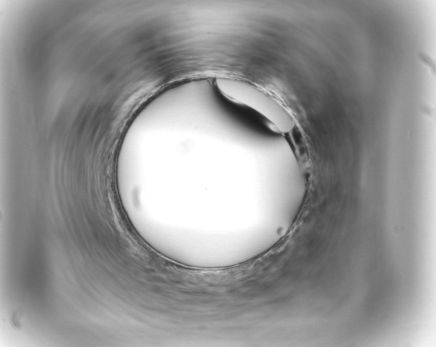 X0000093260001200710241342