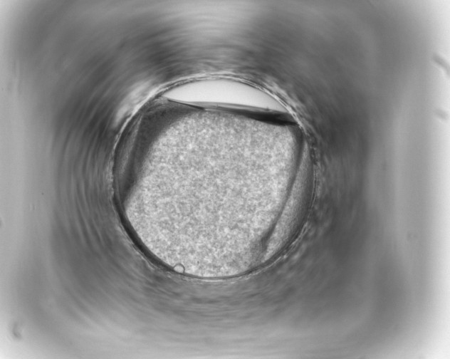 X0000093260002200710241342